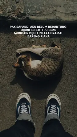 quotes juli