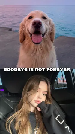 Goodbye 👋