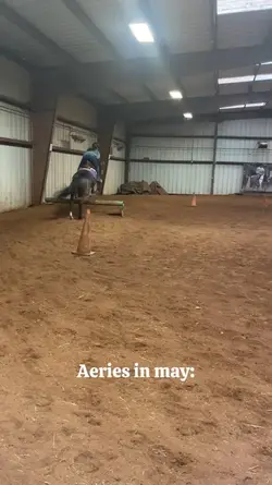 Aeries and i finally
