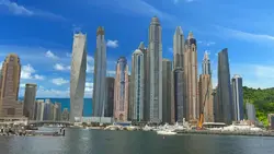 GREEN SCREEN