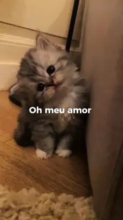 Oh meu amor