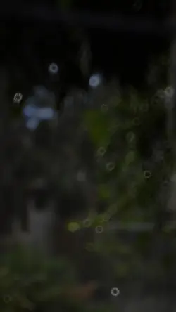 Nada é fácil