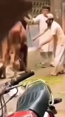 PRANK DITENDANG KUDA