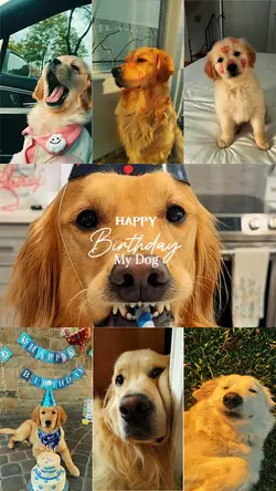 BIRTHDAY MY DOG 