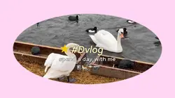 Day vlog 