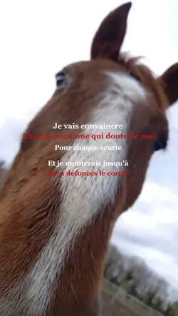 Tous les convaincre 