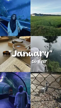 January 