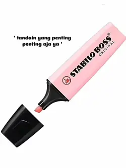tandai yg pntng aja
