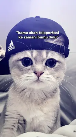 JJ 3 KLIP KECE CUY