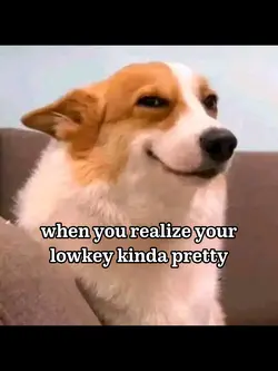 lowkey kinda pretty