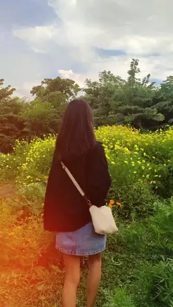 video ×photos