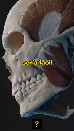 fakten