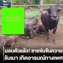 แกล้งเพื่อน