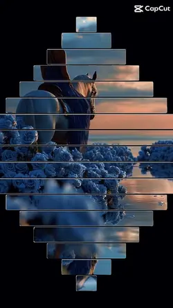4 clips 