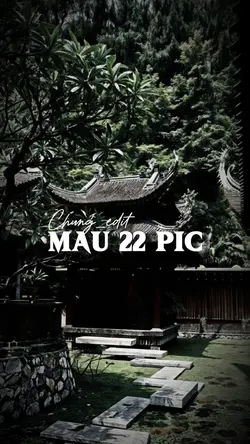 Mẫu 22 ảnh