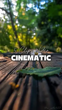 5 Videos Cinematic 