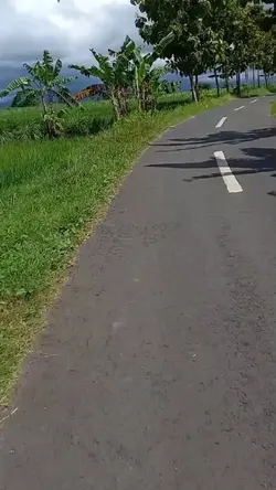 fypbojomutaksisihe