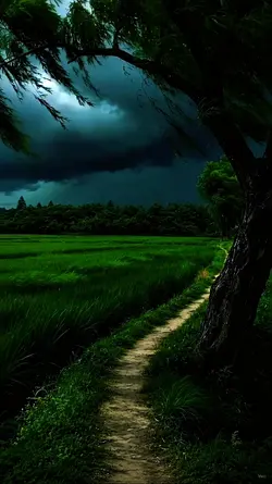 naturedholic