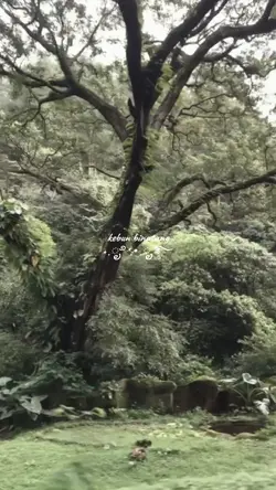 vlog kebun binatang