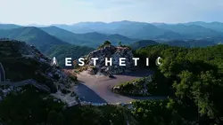 AESTHETIC