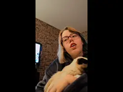 les animaux 