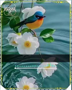 capcut templates