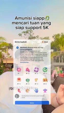 Support fb pro