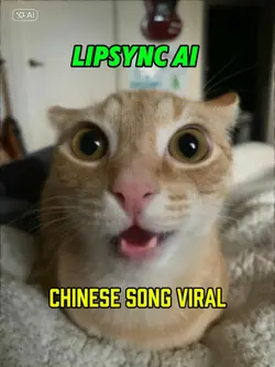 lipsync chinese song