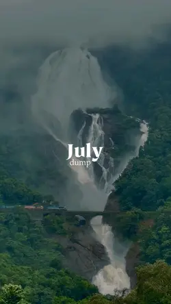 July dump 
