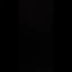 KESFET KUSMUYUZ