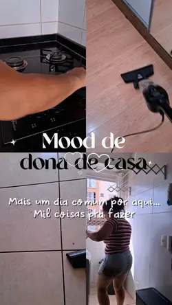 Dona de casa modelo