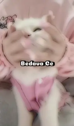 Bedava CC