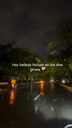 Dias grises
