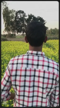 Palko Main Teri Mil 
