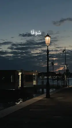 qalbi fil madinah