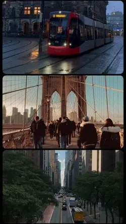 3 video 1 frame