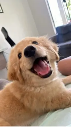 puppy ❤️