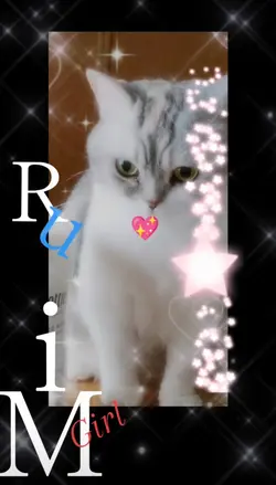 珈琲タイム
