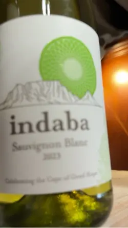 Wine Drink Templat