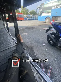Chuyện đời của  tao