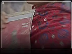 blochi song lyrics 