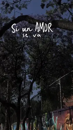 Love pa ti no hay