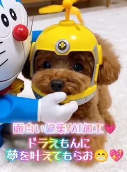 ドラえもんに夢叶えてもらお！