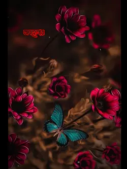 Bangla sad voice 