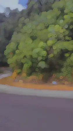 Nature xslowmo