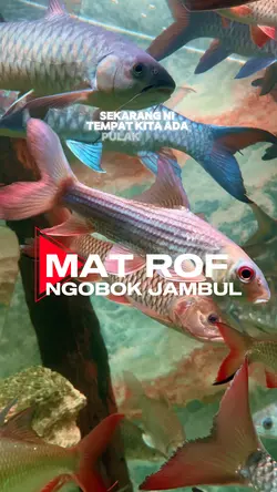 Mat rof