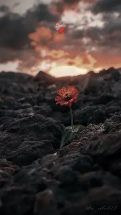 Yeni şablon 