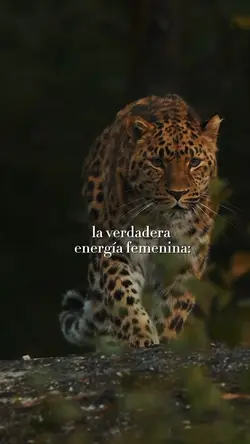 energía femenina