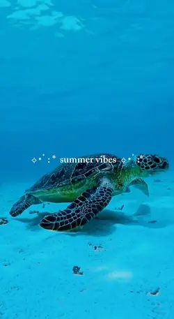 summer vlog recap 
