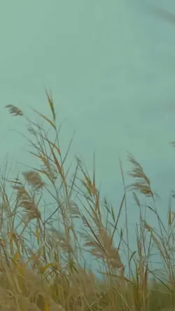 ایرانی ( داریوش)